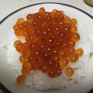 白だしでいくら丼